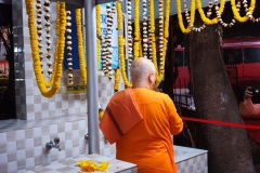 public-Celebration-2-10