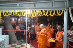 public-Celebration-2-13